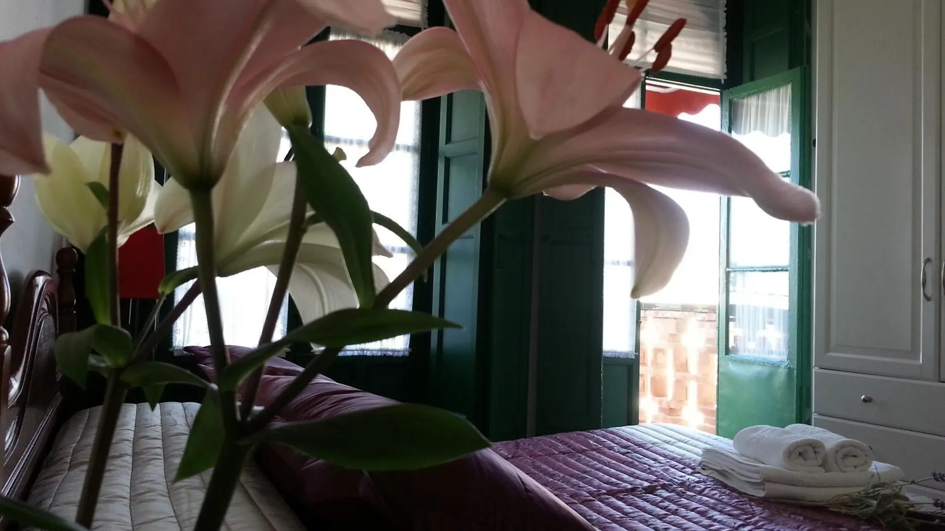 Hostal El Faro 치피오나 게스트하우스