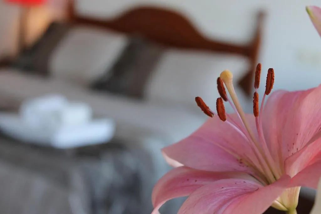 Guest house Hostal El Faro Chipiona Spain