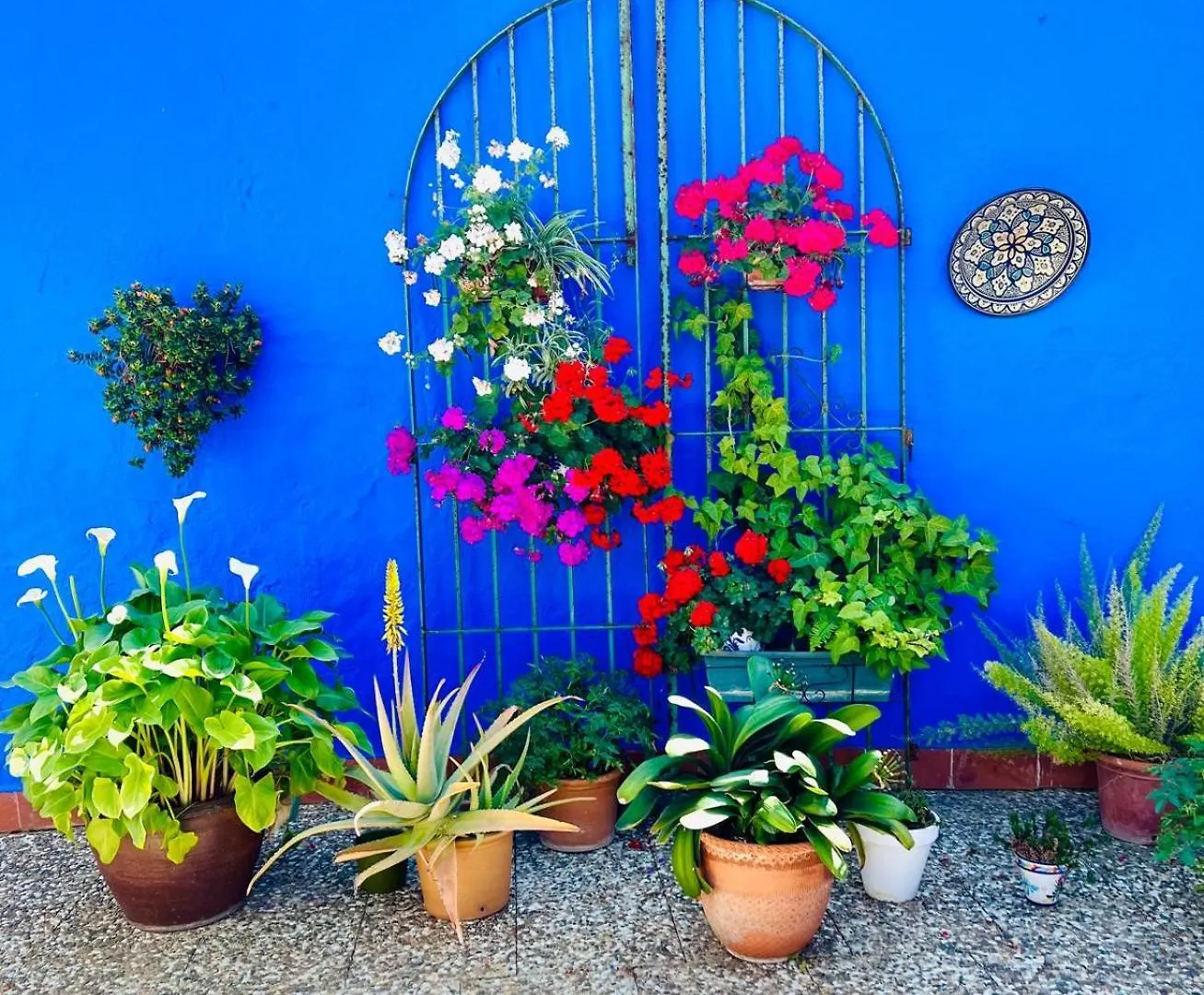 Hostal El Faro Chipiona Gasthof
