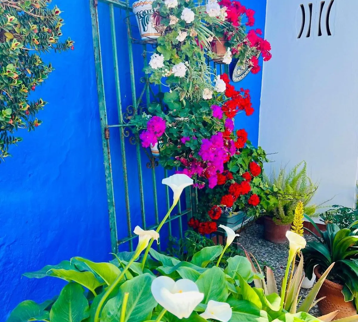 Guest house Hostal El Faro Chipiona